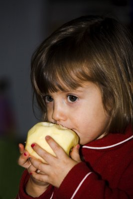 Great BIG apples! (Almost as big as this little girl)