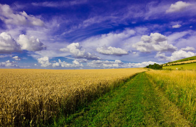 English Countryside