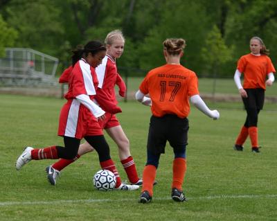 IMG_2305_web.JPG