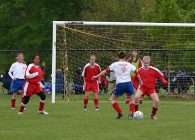 IMG_2468_web.JPG