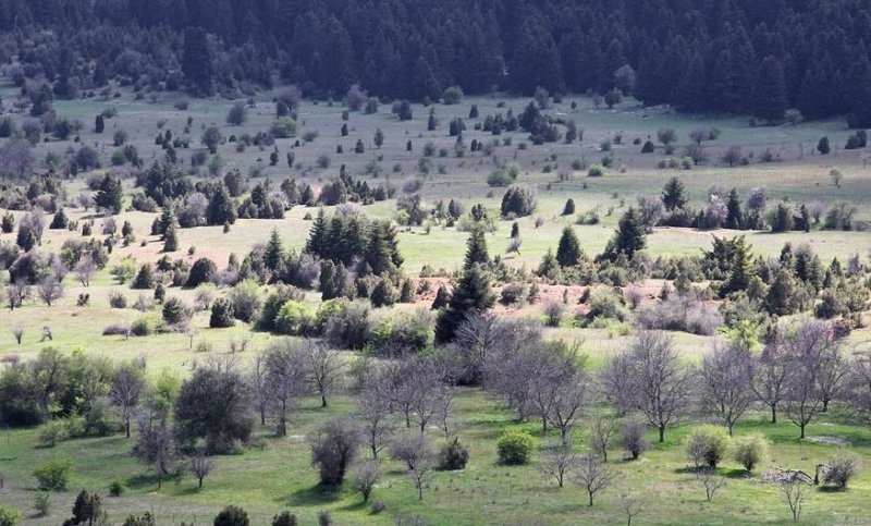 Landscape in Greece1