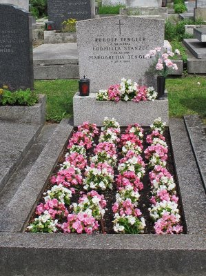 Cemetery in Vienna4