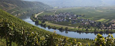 Kwerich,River Mosel