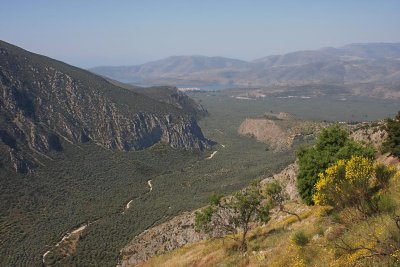 surrounding of Delphi 