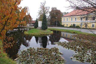 village pool