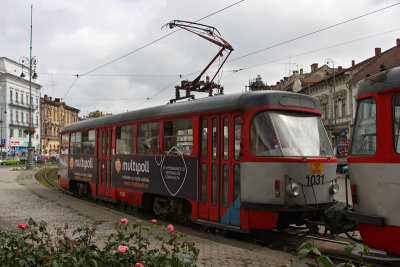 tram in Arad