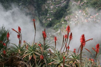 Curral Freiras,Madeira