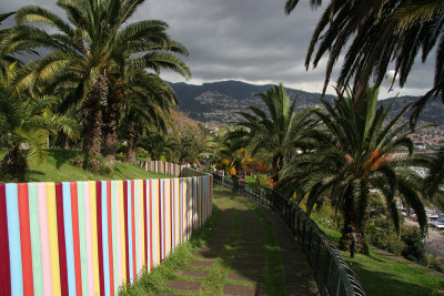 Funchal21.jpg