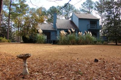 Before the Pond