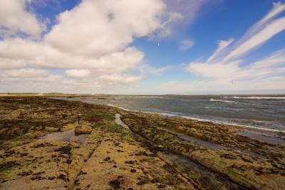 g4/69/388969/3/61373332.DruridgeBay_DSC1633sRGB01colourtweak.jpg