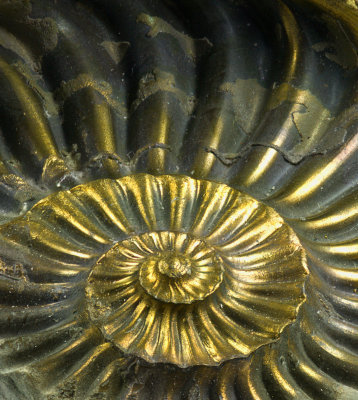 Gold spiral