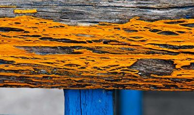Yellow Wood and the Vertical Blue Wood