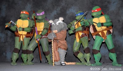 Contestant 16: Teenage Mutant Ninja Turtles