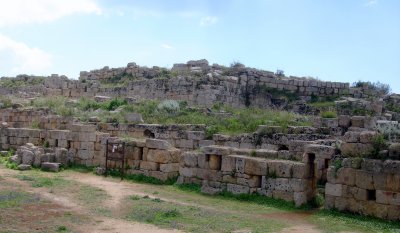 The Western Walls, Tower F