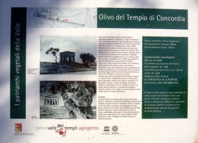 Temple of the Concord