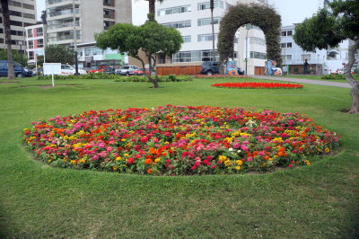 Costal Park-Lima