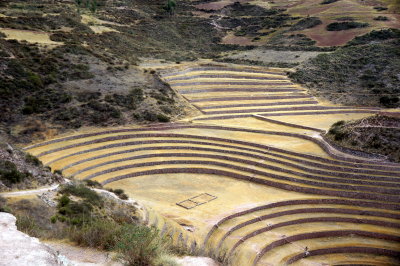 Moray-Incas used greenhouse terraces to improve their farming techniques