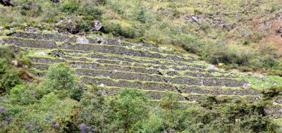 Inca ruins