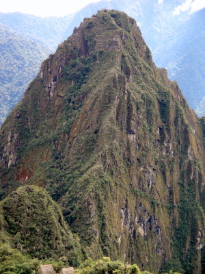 Waynapicchu-I hiked to the top