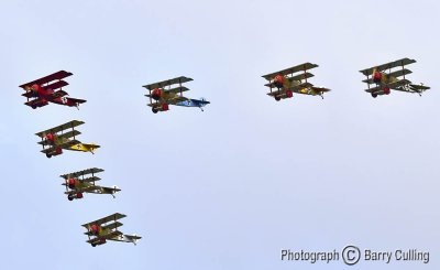 7 Fokkers at Omaka.jpg