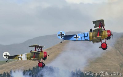 2 Fokkers at Omaka 1.jpg