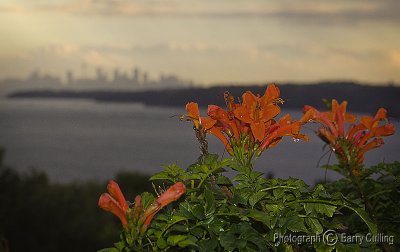 Sydney Skyline 01.jpg