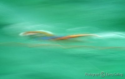 blurrygraph swimmer.jpg