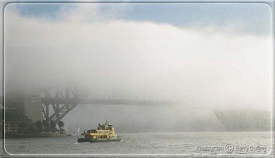 Sydney Fog-.jpg