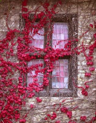 Ludlow window 1.jpg