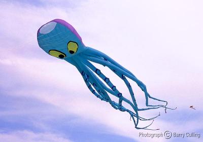 Flying Octopus.jpg
