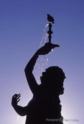 Bird on Fountain.jpg