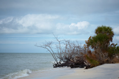 20111029-133944.jpg