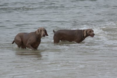 20111029-144214.jpg
