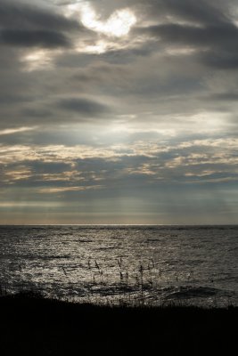 20111029-174234.jpg