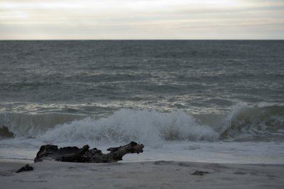 20111029-174958.jpg