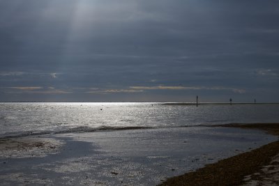 20111030-093859.jpg