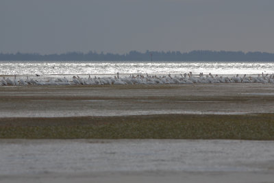 20111030-094522.jpg