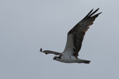 20111030-094700.jpg