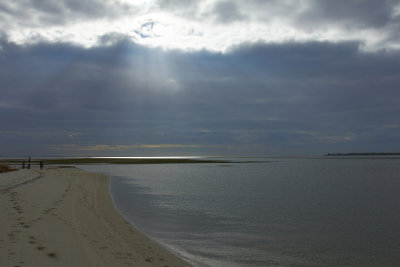 20111030-095040.jpg