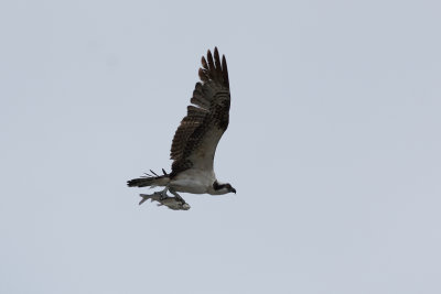 20111030-095210.jpg