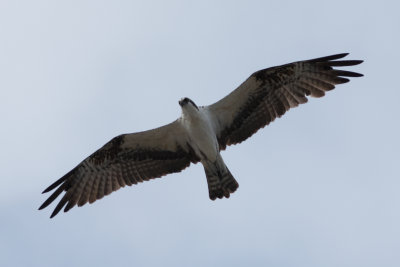 20111030-095520.jpg