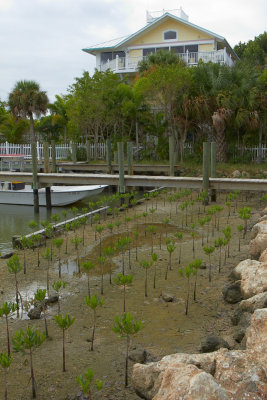 20111030-101244.jpg