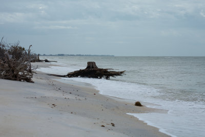 20111030-111357.jpg