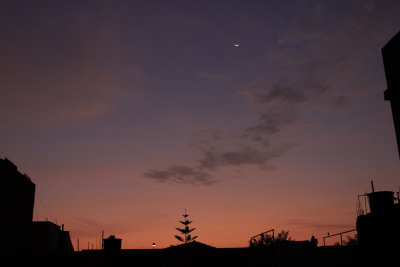 20111127-194234.jpg