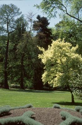 t33s067_Versailles Gardens, Paris, France, May 1991.jpg