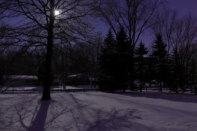 Morning Moon On The Snow
