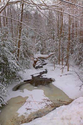 Creek Off Hayes Hollow 
