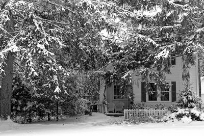 A House On Center Street