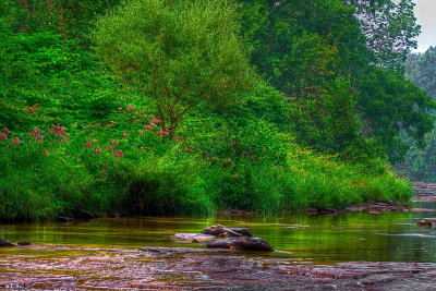 Late Summer on the Cazenovia Creek 