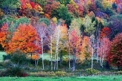 Little Valley Fall